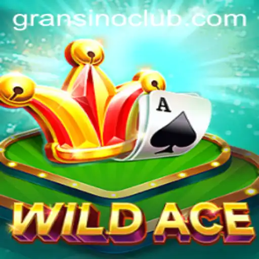 Exploring WildAce: A Thrilling Journey into Modern Digital Gaming